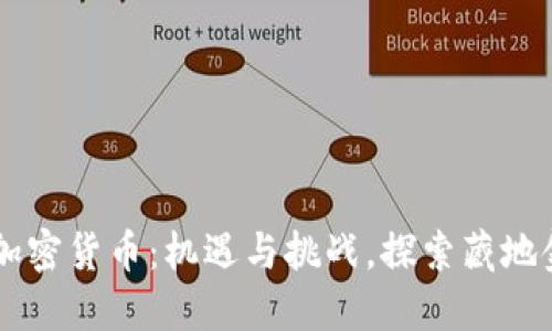 昌都市加密货币：机遇与挑战，探索藏地金融未来