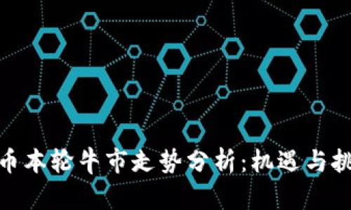加密货币本轮牛市走势分析：机遇与挑战并存