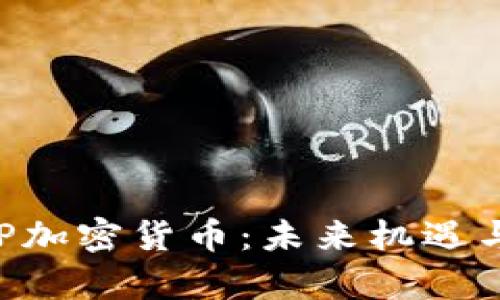 : 投资XRP加密货币：未来机遇与风险分析