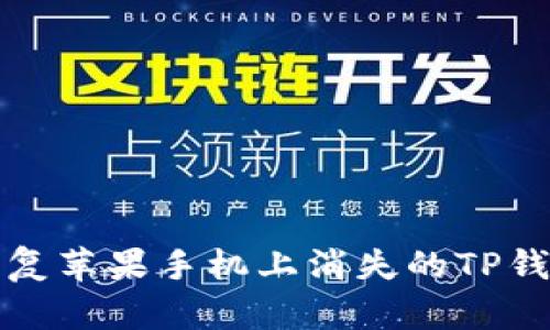 如何恢复苹果手机上消失的TP钱包图标