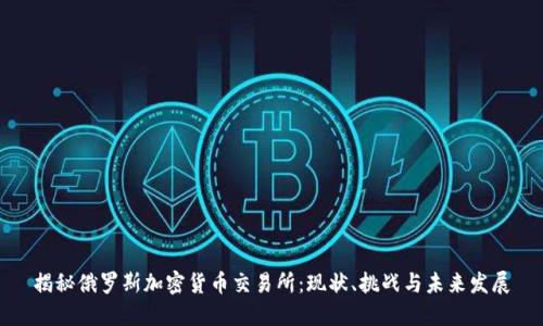 揭秘俄罗斯加密货币交易所：现状、挑战与未来发展
