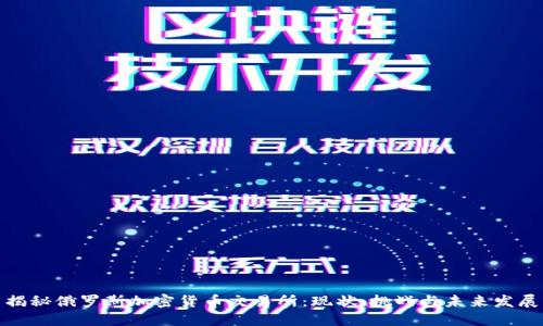 揭秘俄罗斯加密货币交易所：现状、挑战与未来发展