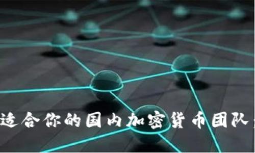 如何选择适合你的国内加密货币团队：全面指南