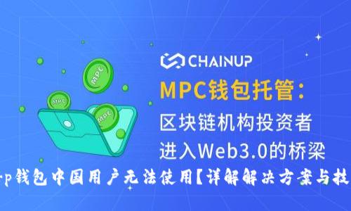 t p钱包中国用户无法使用？详解解决方案与技巧