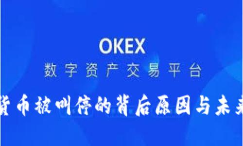 加密货币被叫停的背后原因与未来展望