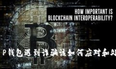 :t P钱包遇到诈骗该如何应