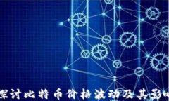 深入探讨比特币价格波动