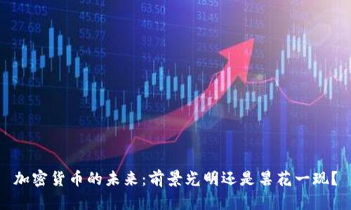 加密货币的未来：前景光明还是昙花一现？