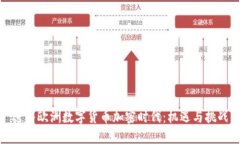 进入欧洲数字货币加密时