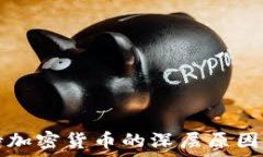  马斯克支持加密货币的深