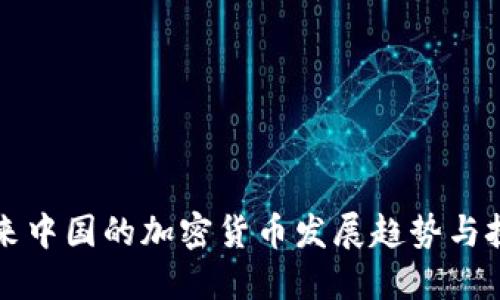 未来中国的加密货币发展趋势与挑战