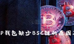 全面解析TP钱包缺少BSC链的