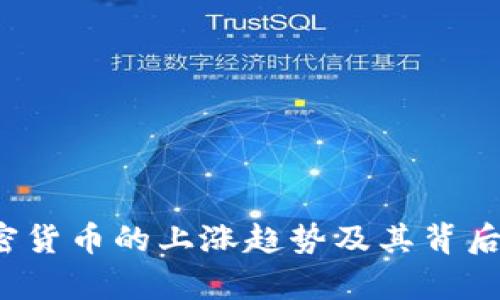  美国加密货币的上涨趋势及其背后因素分析
