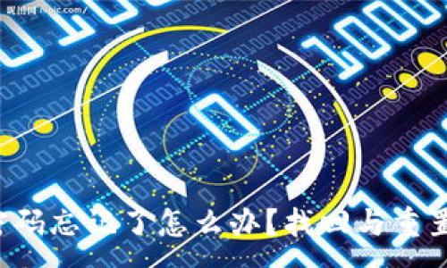 :
TP钱包支付密码忘记了怎么办？找回与重置密码全攻略！