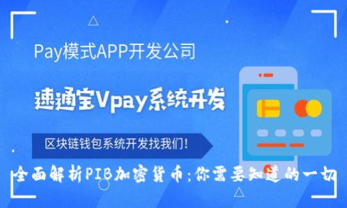 全面解析PIB加密货币：你需要知道的一切
