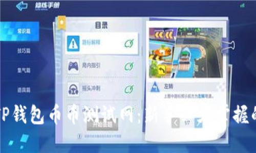 全面解读TP钱包币币测试网：新手必须掌握的关键要素