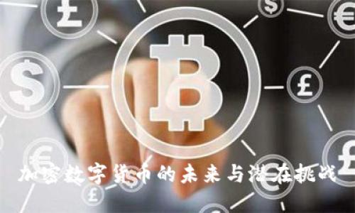加密数字货币的未来与潜在挑战