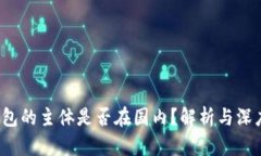 t p钱包的主体是否在国内？解析与深度分析