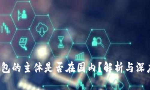 t p钱包的主体是否在国内？解析与深度分析