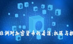 : 非洲对加密货币的看法：