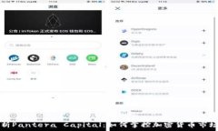  深入解析Pantera Capital：如