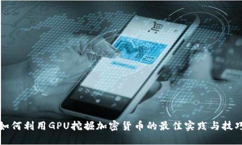 如何利用GPU挖掘加密货币的最佳实践与技巧