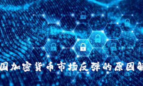 美国加密货币市场反弹的原因解析
