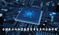 全球最大的加密数字货币