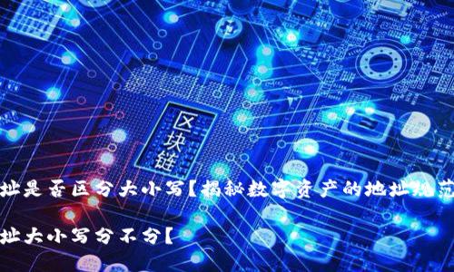 tP钱包地址是否区分大小写？揭秘数字资产的地址规范与安全性

tP钱包地址大小写分不分？