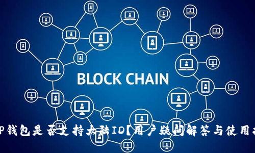 : TP钱包是否支持大陆ID？用户疑问解答与使用指南