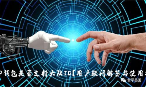 : TP钱包是否支持大陆ID？用户疑问解答与使用指南