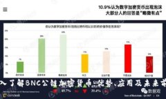 深入了解BNC公链加密货币