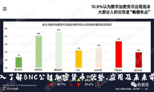 深入了解BNC公链加密货币：优势、应用及未来前景