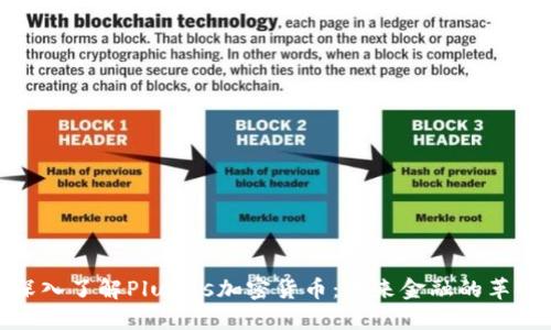 深入了解Plutus加密货币：未来金融的革命