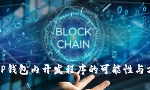 在TP钱包内开发程序的可能性与方法
