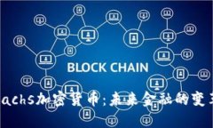 揭秘Sachs加密货币：未来金融的变革之路