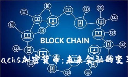 揭秘Sachs加密货币：未来金融的变革之路