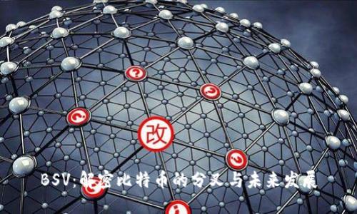 BSV：解密比特币的分叉与未来发展