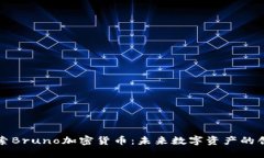 深入探索Bruno加密货币：未