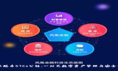 中本聪币BTCs公链：一站式