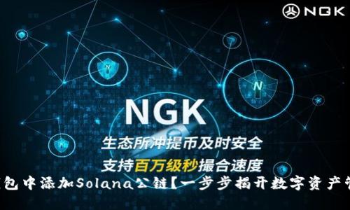 如何在TP钱包中添加Solana公链？一步步揭开数字资产管理的秘密！