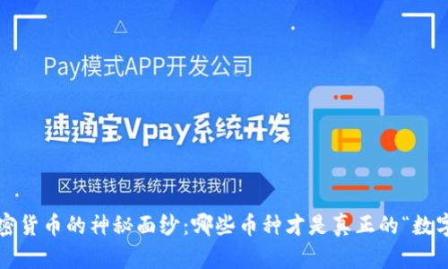 揭开加密货币的神秘面纱：哪些币种才是真正的“数字黄金”？