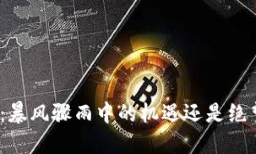 加密货币：暴风骤雨中的机遇还是绝望的深渊？