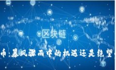 加密货币：暴风骤雨中的