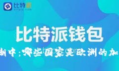 在区块链浪潮中：哪些国家是欧洲的加密货币先