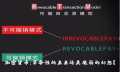 加密货币：革命性的未来还是脆弱的幻想？