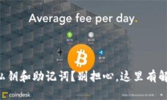 没备份私钥和助记词？别