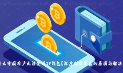 为什么中国用户无法使用TP钱包？深度剖析背后的