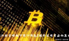 国外能否顺利下载TP钱包？揭开使用背后的真相！