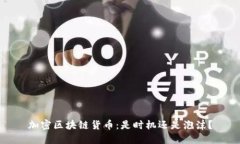 加密区块链货币：是时机还是泡沫？